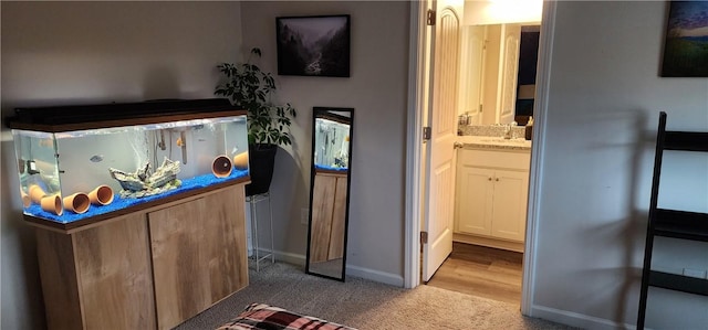 interior space with ensuite bath, carpet, baseboards, and a sink