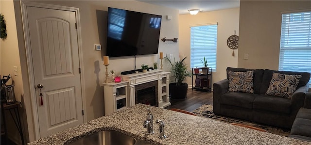 living area featuring dark wood finished floors