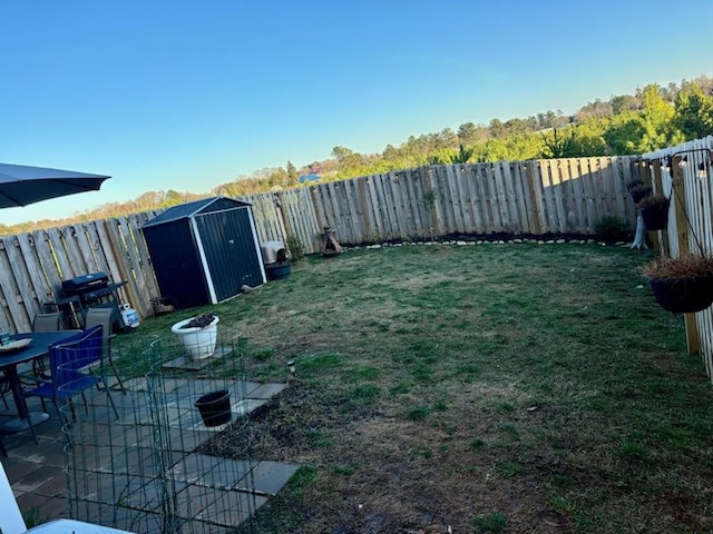 view of yard with a patio area, an outdoor structure, a storage shed, and a fenced backyard