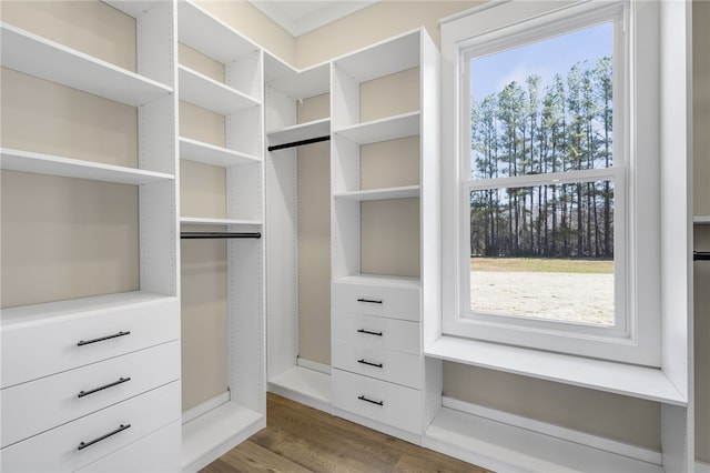 spacious closet featuring wood finished floors