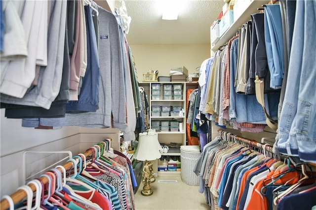 spacious closet featuring carpet flooring