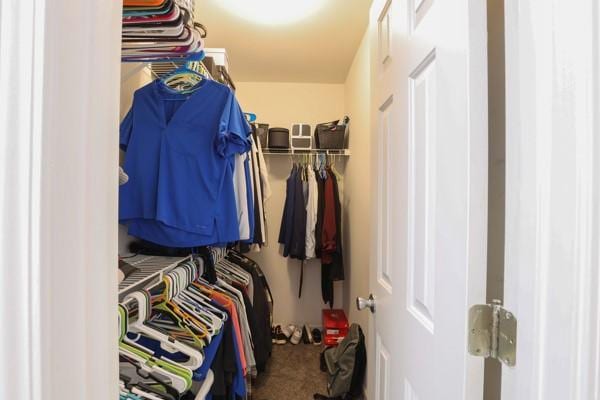 view of spacious closet