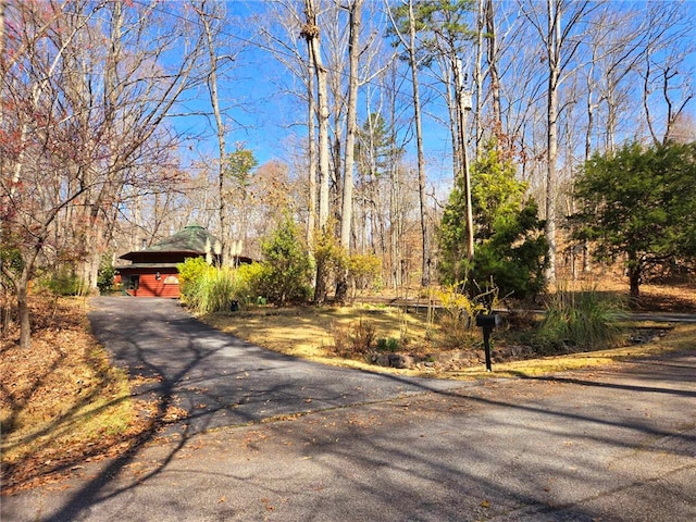 view of road with aphalt driveway