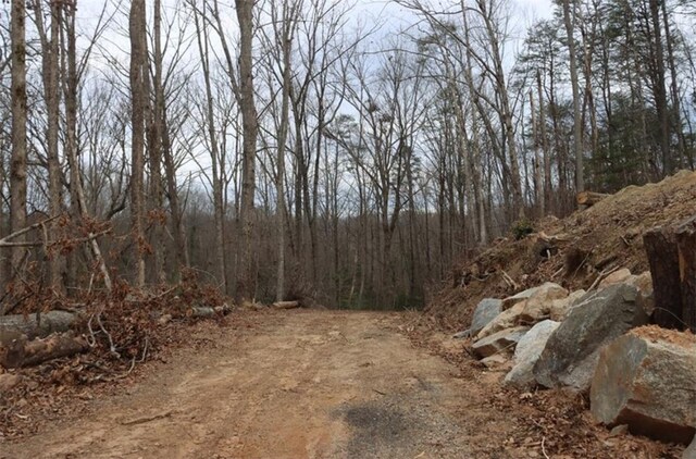 00 Hart Cut Rd, Marietta, SC 29661 - photo 5