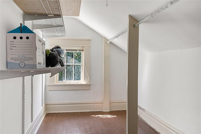 spacious closet with lofted ceiling and wood-type flooring