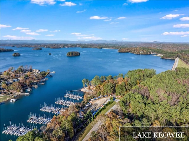 aerial view featuring a wooded view and a water view