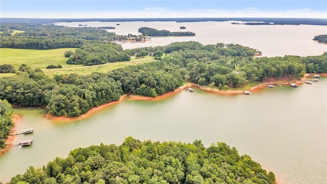03 Island Point Rd, Starr, SC 29684 - photo 3