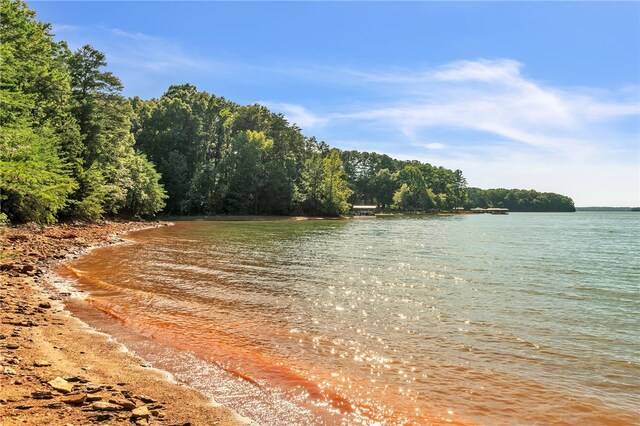 03 Island Point Rd, Starr, SC 29684 - photo 9