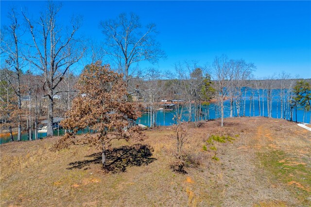 59 Yacht Club Pt, Hartwell, GA 30643