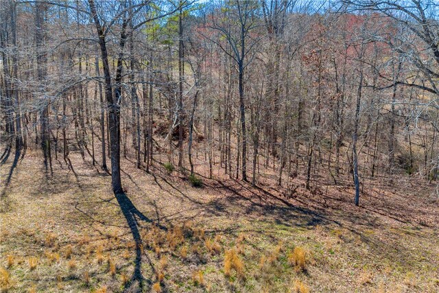59 Yacht Club Pt, Hartwell, GA 30643