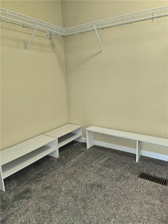 115 Morgan Rd, West Union, SC 29696 - walk in closet with carpet floors
