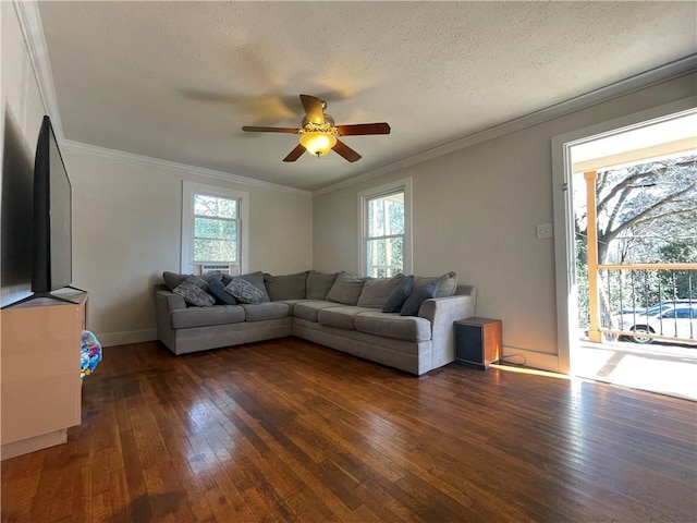 700 Hack St, Anderson, SC 29624 - photo 7