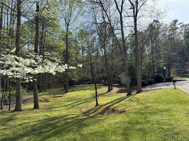 view of grassy yard