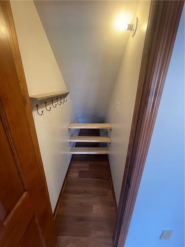 236 Issaqueena Dr, Central, SC 29630 - walk in closet featuring dark wood-style flooring