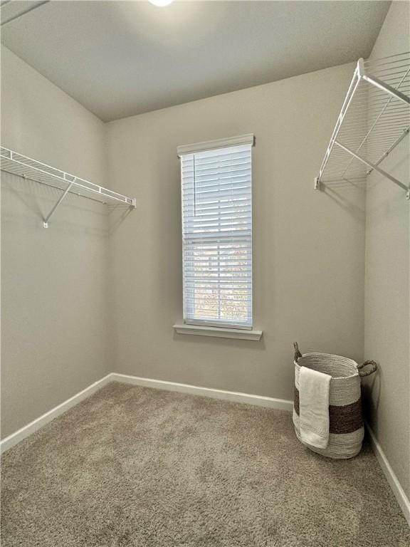 117 Northridge Ct, Easley, SC 29642 - photo 17
