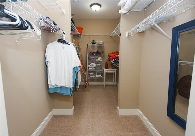 504 Village Walk Ln, Clemson, SC 29631 - photo 36