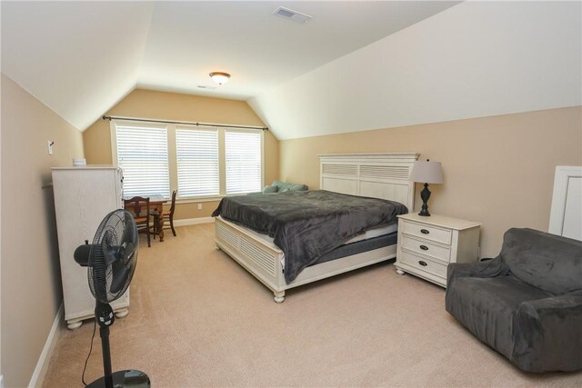 504 Village Walk Ln, Clemson, SC 29631 - photo 47