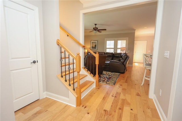 504 Village Walk Ln, Clemson, SC 29631 - photo 11