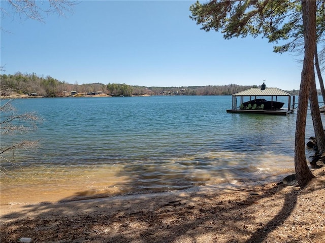 136 Blue Water Trl, Salem, SC 29676 - property view of water