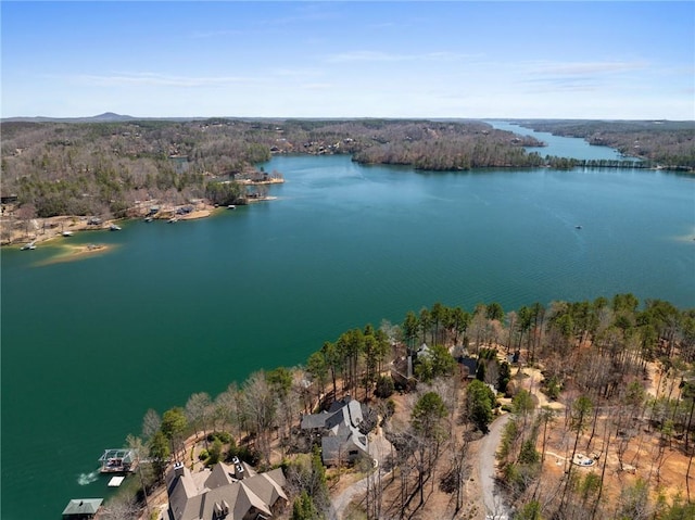 136 Blue Water Trl, Salem, SC 29676 - aerial view featuring a forest view and a water view