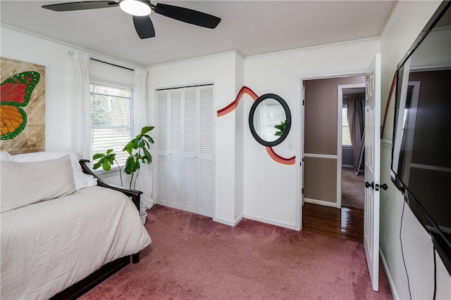 115 Pine Forest Dr, Easley, SC 29642 - photo 23