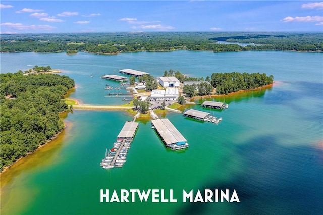 drone / aerial view featuring a water view and a view of trees