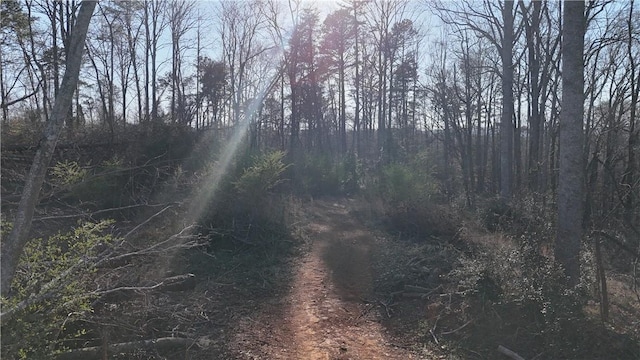 4551 W Silver Lake Dr, Taylors, SC 29687