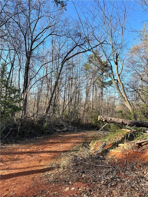 4551 W Silver Lake Dr, Taylors, SC 29687