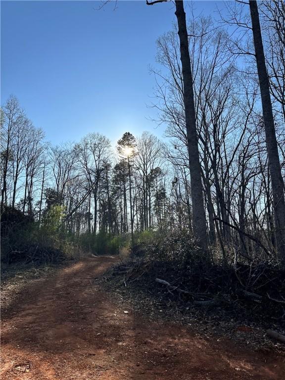 4551 W Silver Lake Dr, Taylors, SC 29687