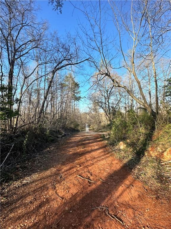4551 W Silver Lake Dr, Taylors, SC 29687