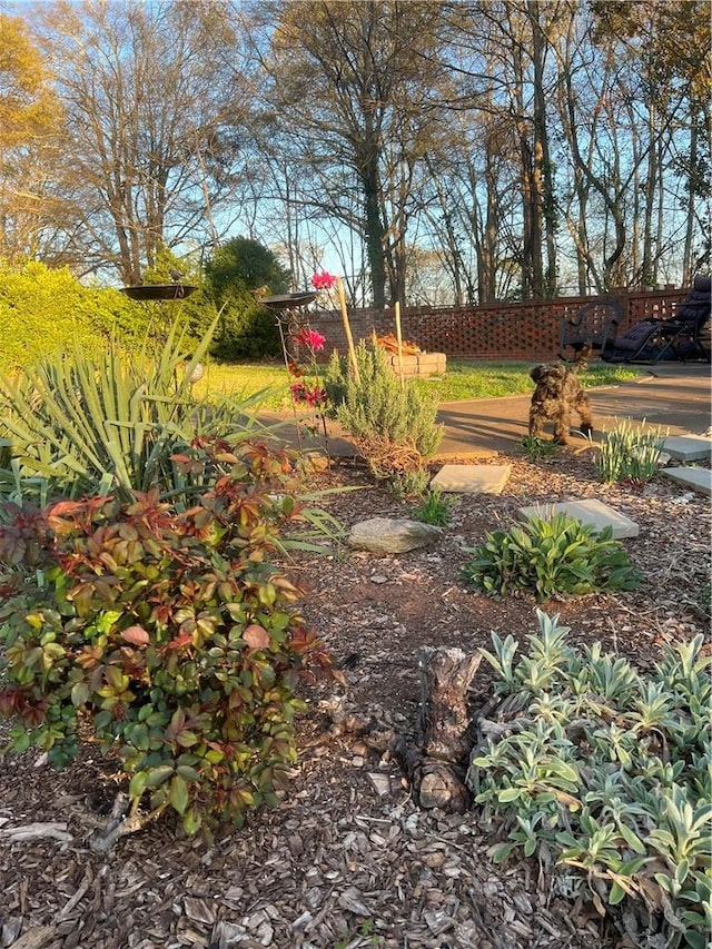 125 Victorian Dr, Anderson, SC 29625 - view of yard