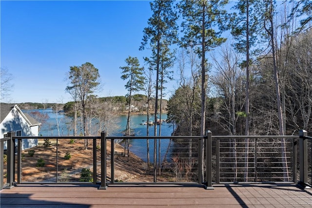 154 Northshores Dr, Seneca, SC 29672 - photo 44