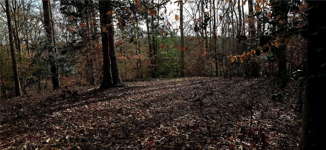 154 Latham Dr, Anderson, SC 29621 - photo 3