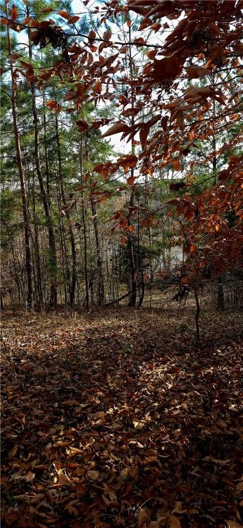 154 Latham Dr, Anderson, SC 29621 - photo 4