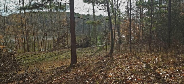 154 Latham Dr, Anderson, SC 29621 - photo 5