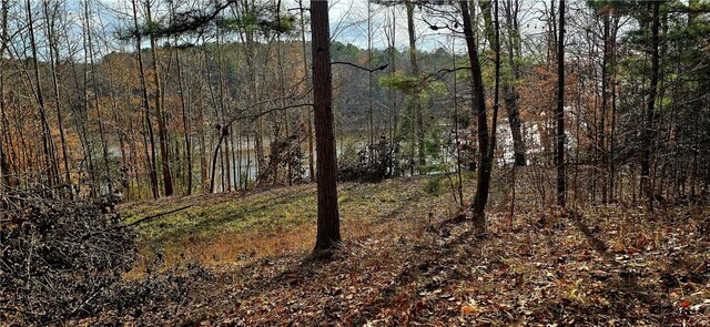 154 Latham Dr, Anderson, SC 29621 - photo 7