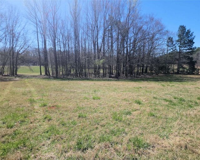00 Knight Rd, Gray Court, SC 29645 - photo 6