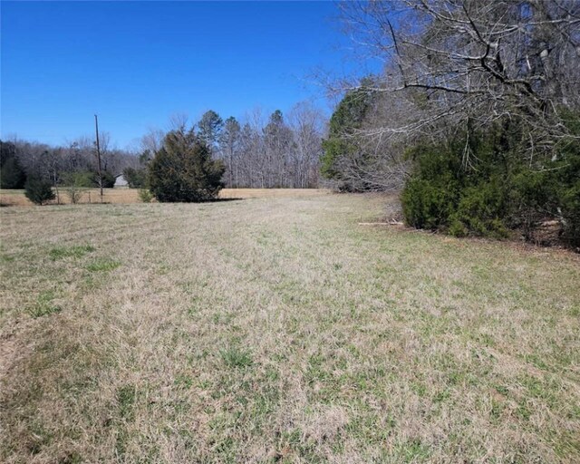 00 Knight Rd, Gray Court, SC 29645 - photo 8