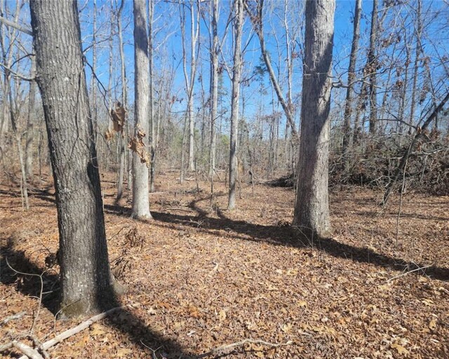 00 Knight Rd, Gray Court, SC 29645 - photo 9