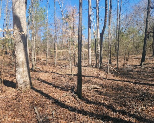 00 Knight Rd, Gray Court, SC 29645 - photo 12