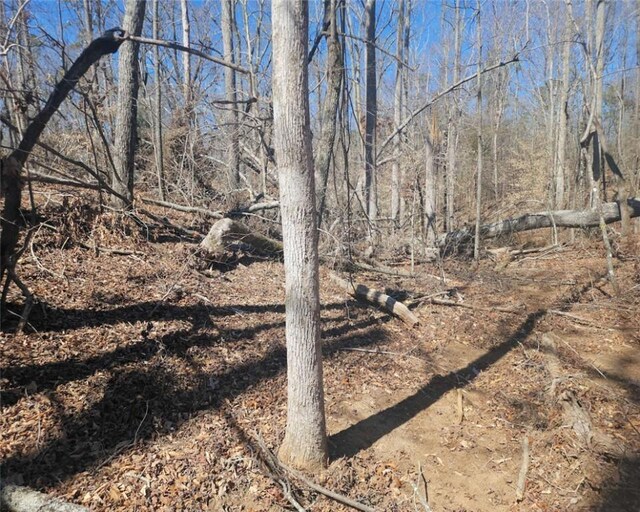 00 Knight Rd, Gray Court, SC 29645 - photo 14