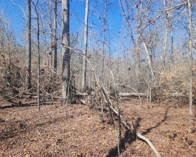 00 Knight Rd, Gray Court, SC 29645 - photo 16