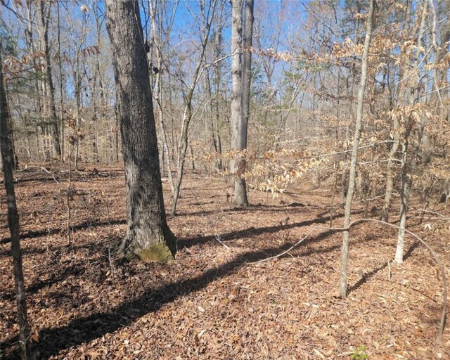 00 Knight Rd, Gray Court, SC 29645 - photo 19