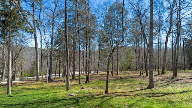 view of yard with a view of trees
