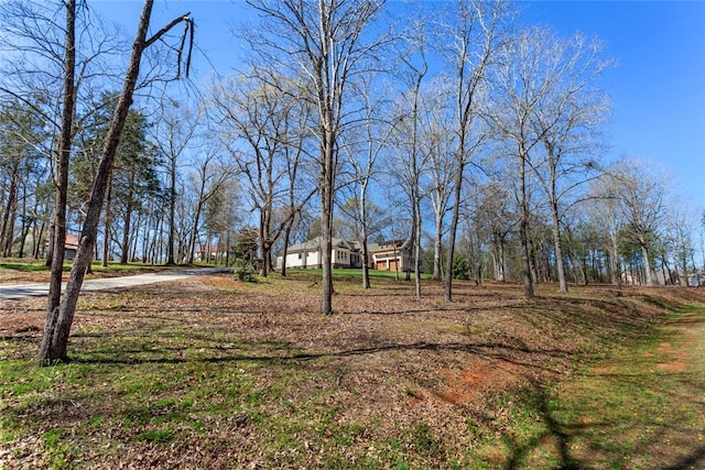 view of yard with driveway