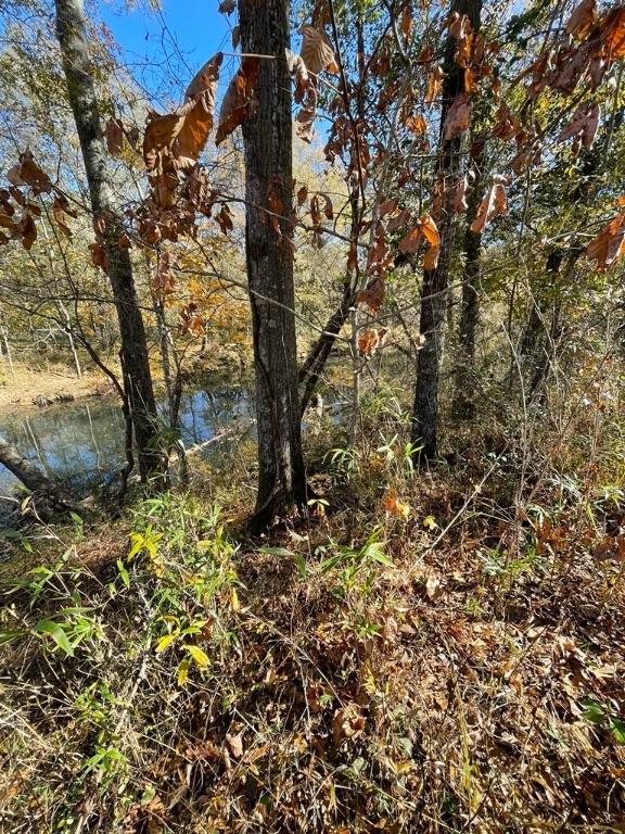 161 Chauga Shoals Dr, Westminster, SC 29693 - photo 19