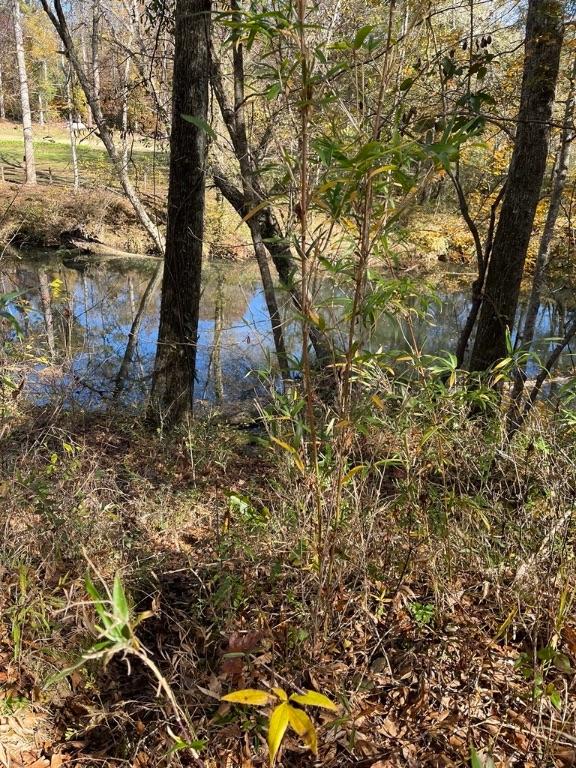 161 Chauga Shoals Dr, Westminster, SC 29693 - photo 20