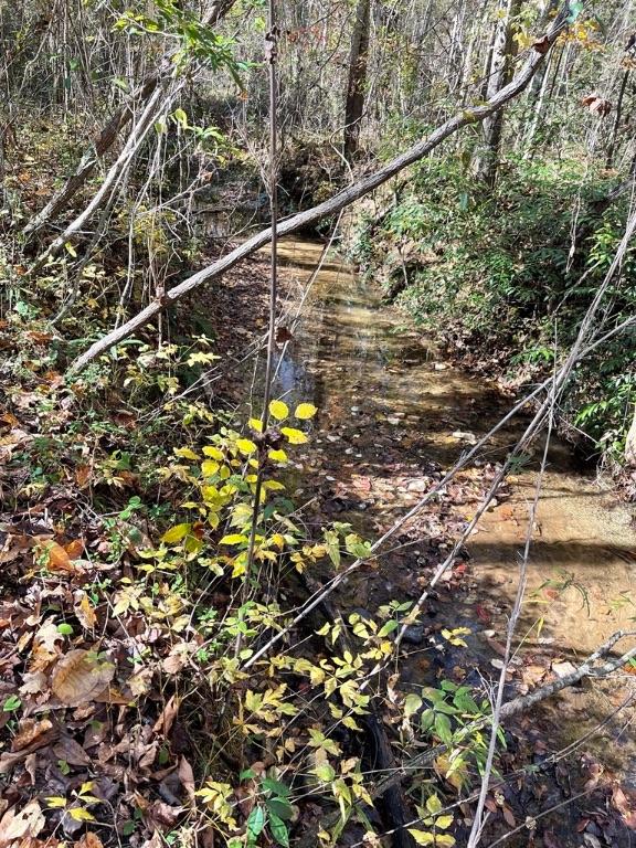 161 Chauga Shoals Dr, Westminster, SC 29693 - photo 22