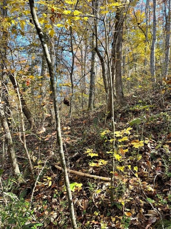 161 Chauga Shoals Dr, Westminster, SC 29693 - photo 24