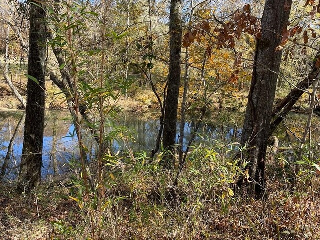161 Chauga Shoals Dr, Westminster, SC 29693 - photo 26